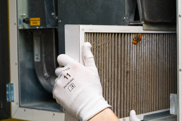 Best Affordable Air Duct Cleaning  in Edgemere, MD