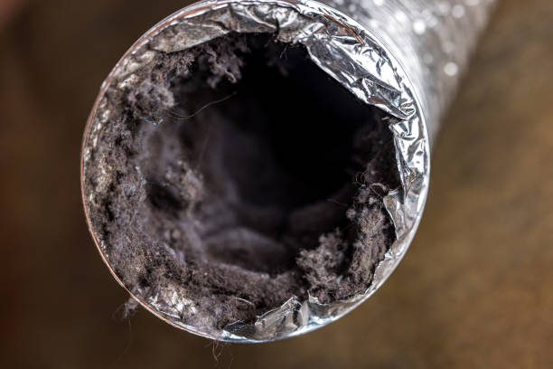 Best Residential Air Duct Cleaning  in Edgemere, MD
