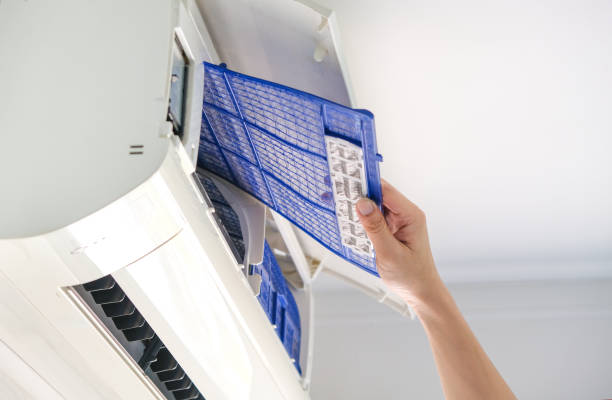 Best Air Duct Mold Removal  in Edgemere, MD